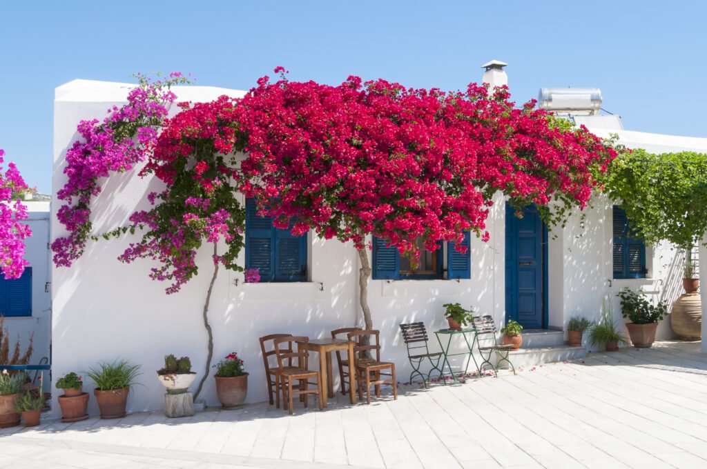 Is Paros a family destination?